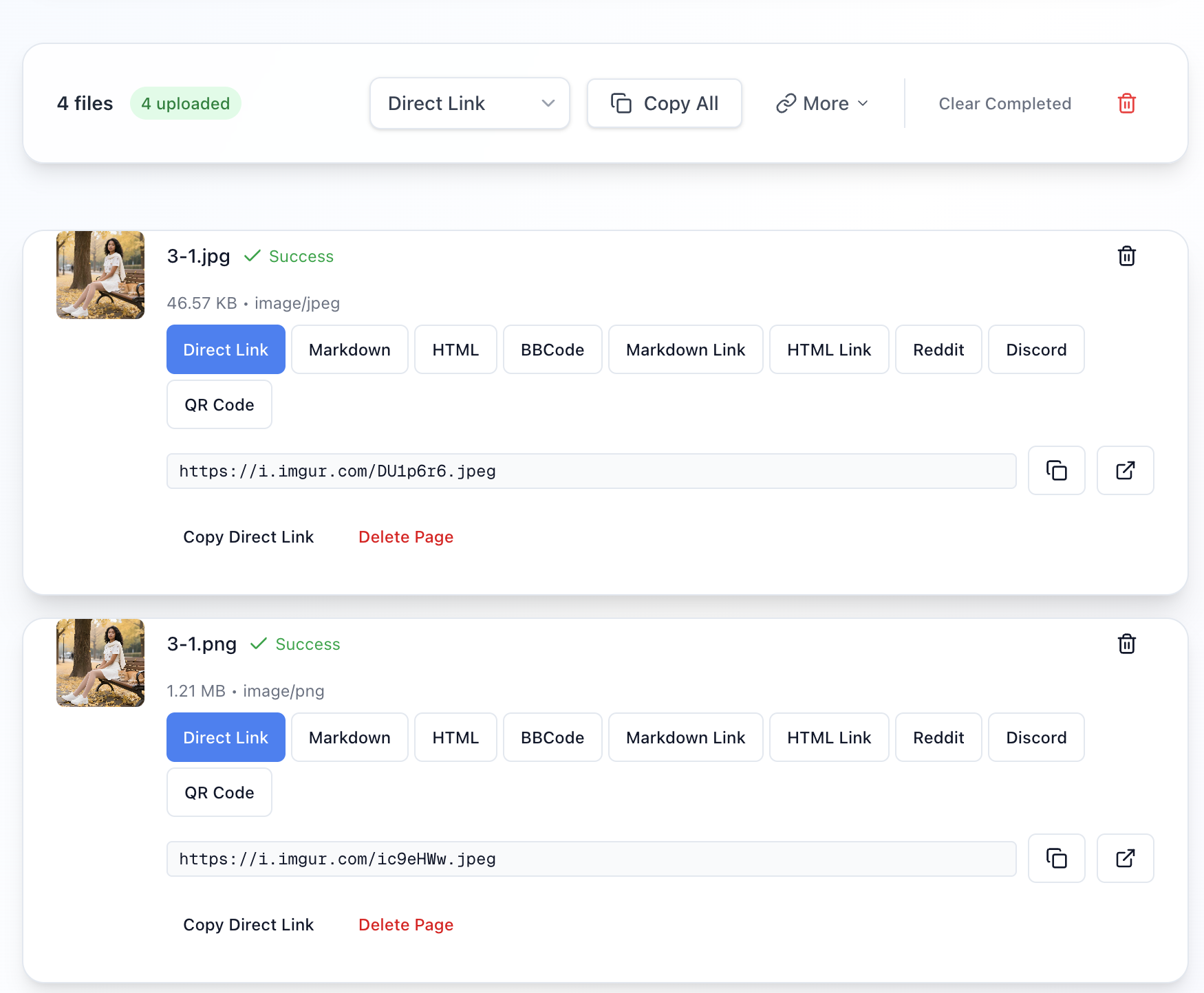 Advanced Batch Upload Management